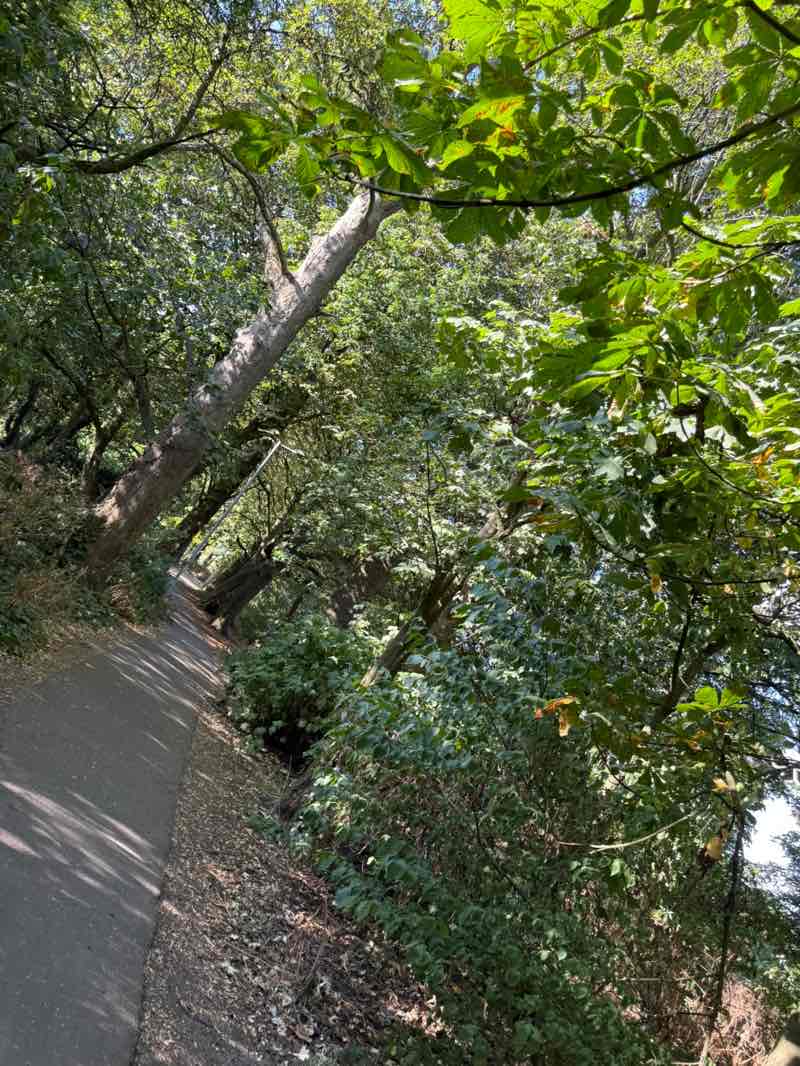 walking near me in Riddings Park in summer