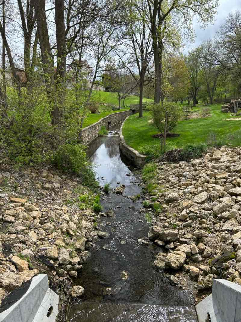 walking near me in Cloie Creek Park in spring