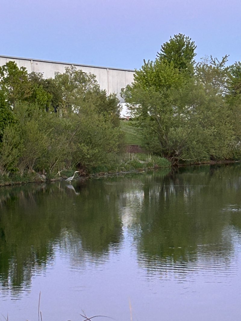 walking near me in Bergfeld Recreation Area in spring