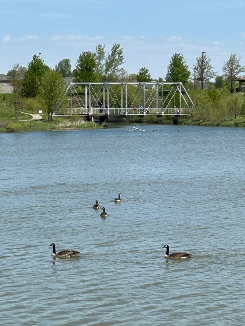 walking near me in Bergfeld Recreation Area in spring
