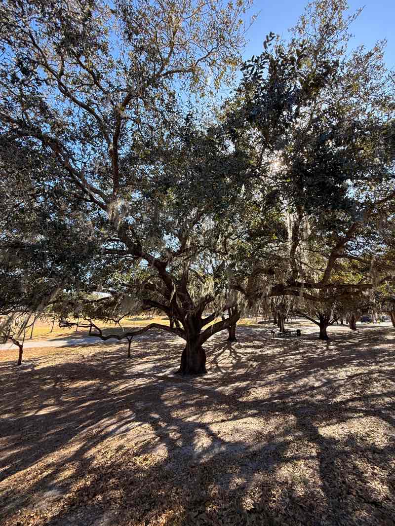 walking near me in Blanchard Park in winter
