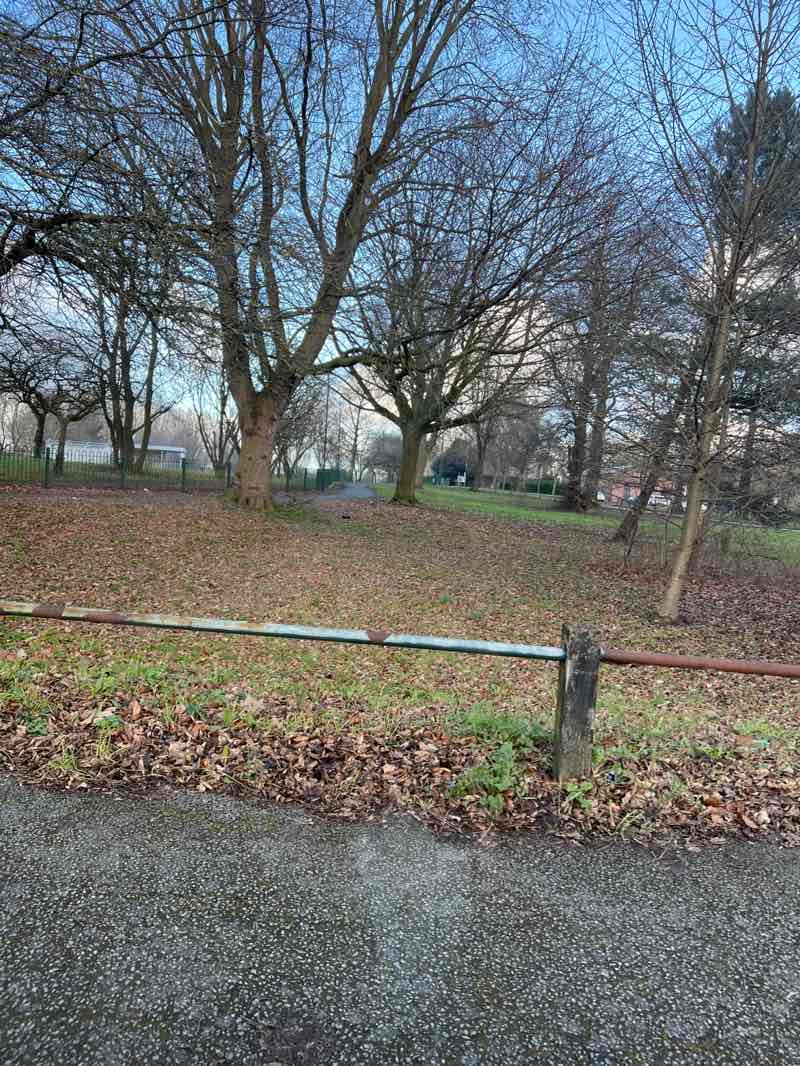 walking near me in Osmaston Park in winter