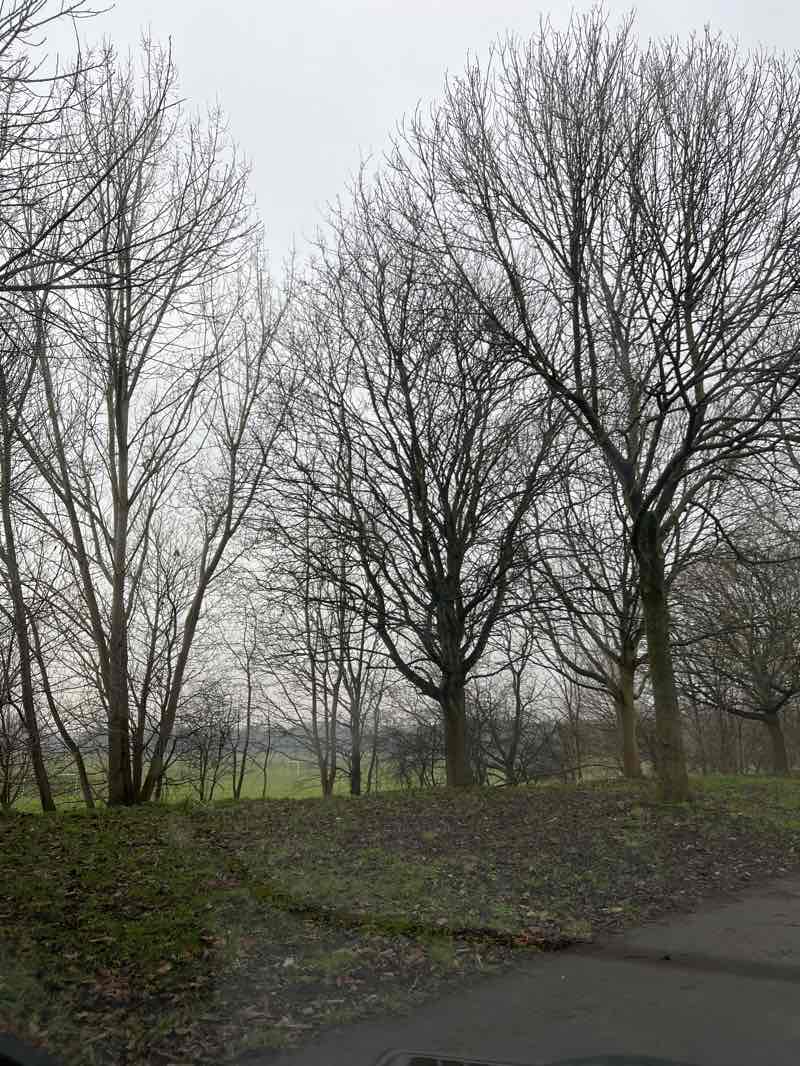 walking near me in Race Course Fields in winter