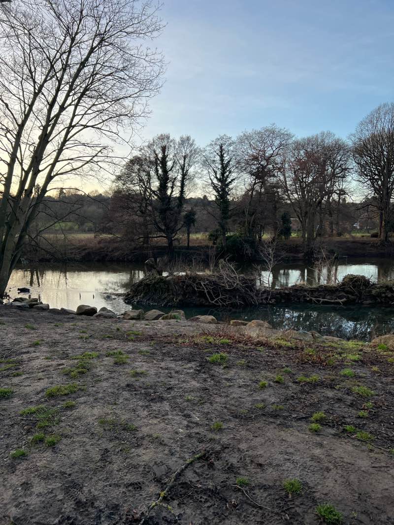 walking near me in Darley Playing Fields in winter