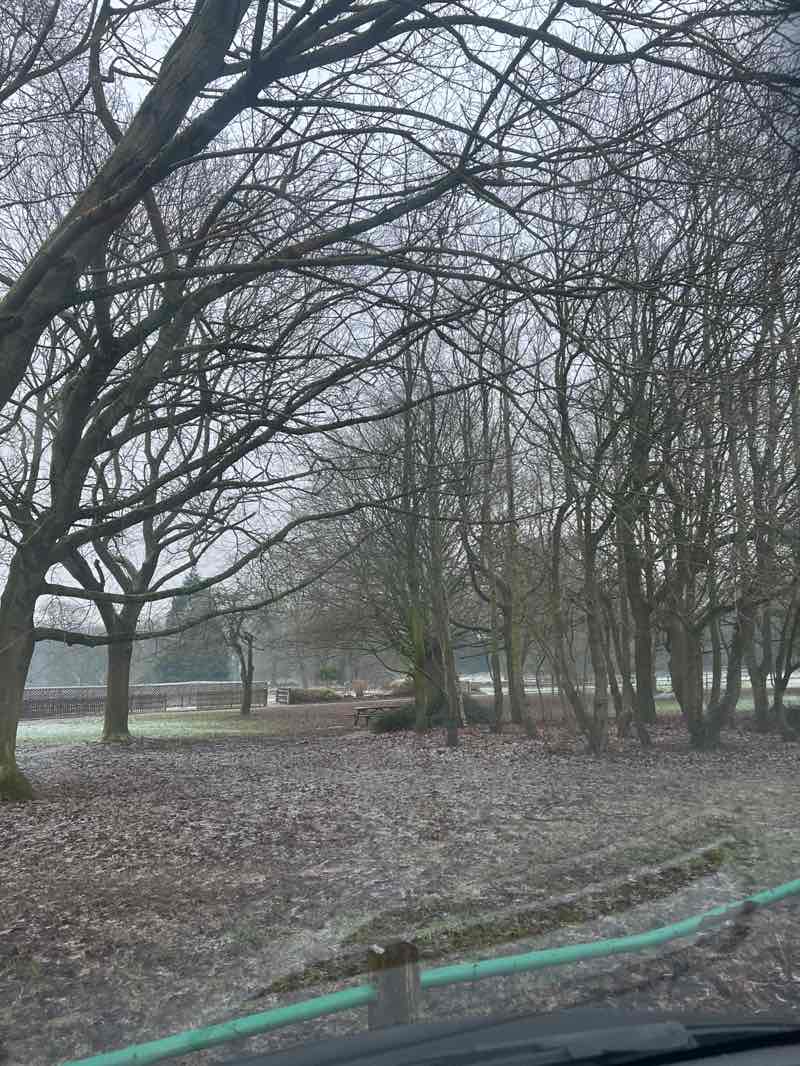 walking near me in Markeaton Park in winter