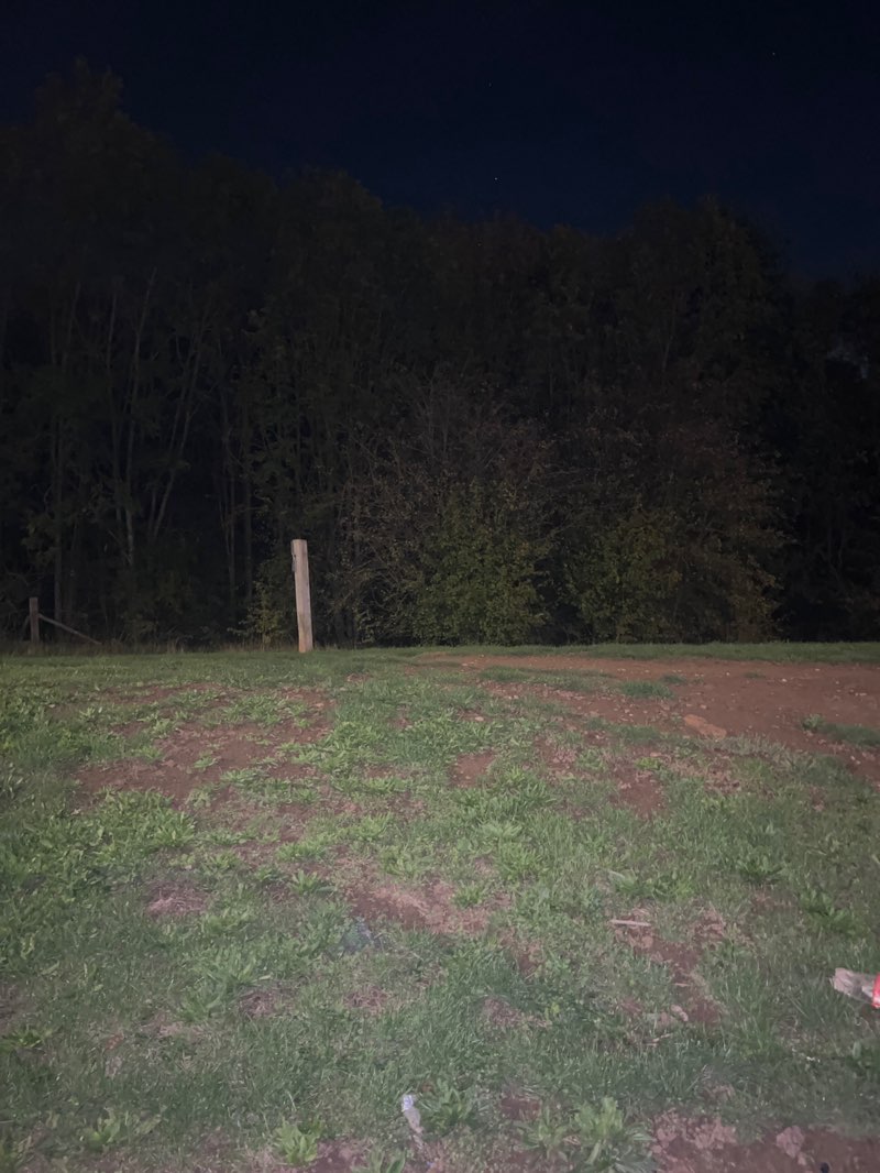 walking near me in Farleys Lane Nature Area in autumn