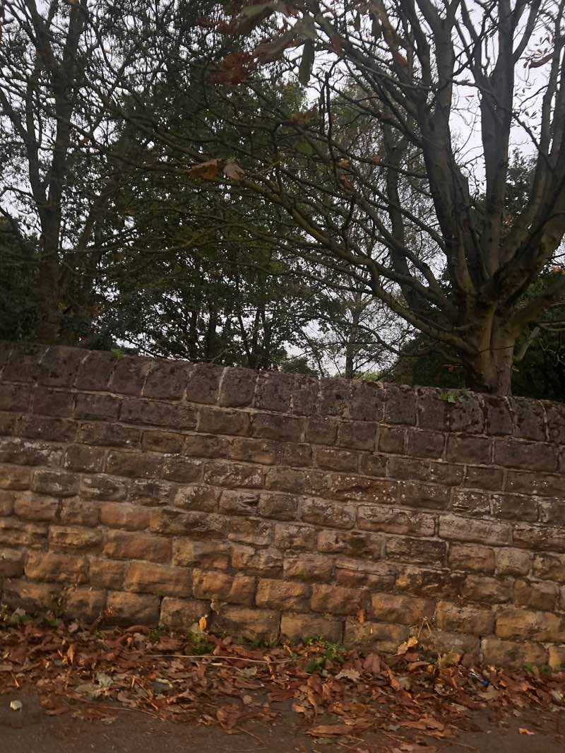 walking near me in St Peter's Park in autumn