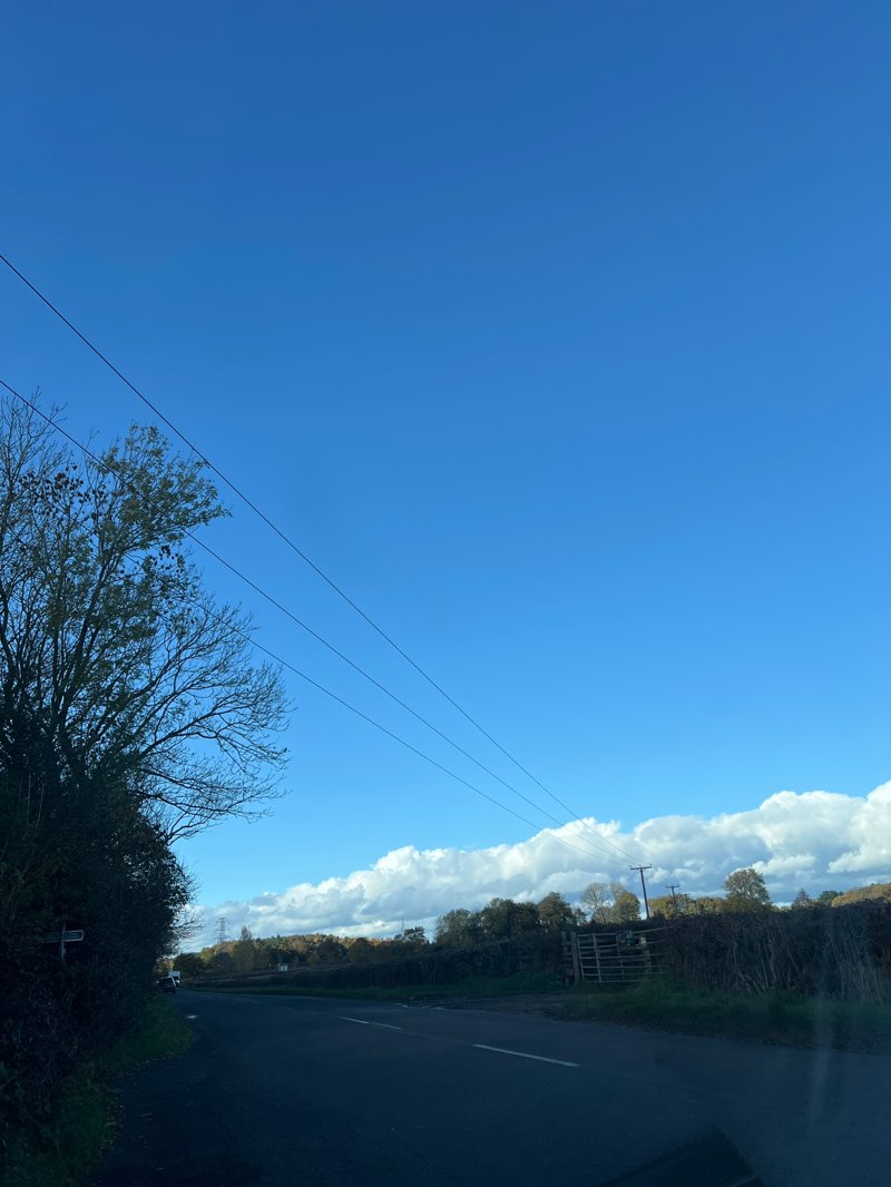 walking near me in Morley Brickyards Nature Reserve in autumn