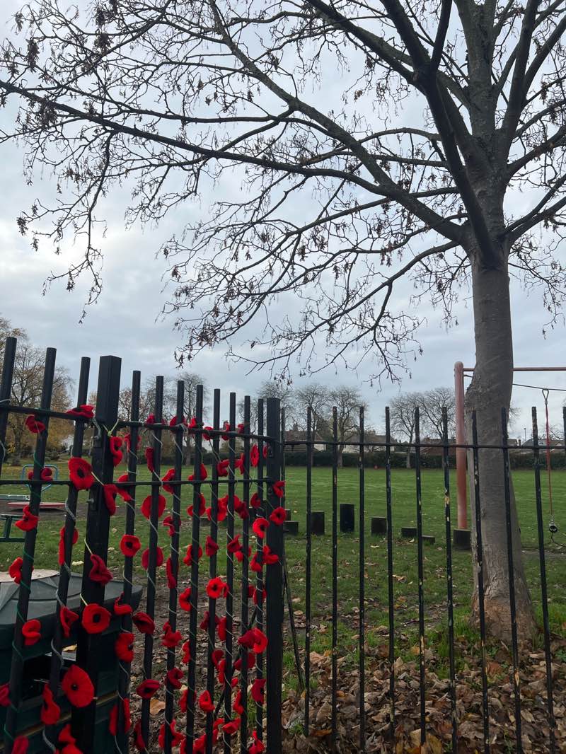 walking near me in Glenmore Park in autumn