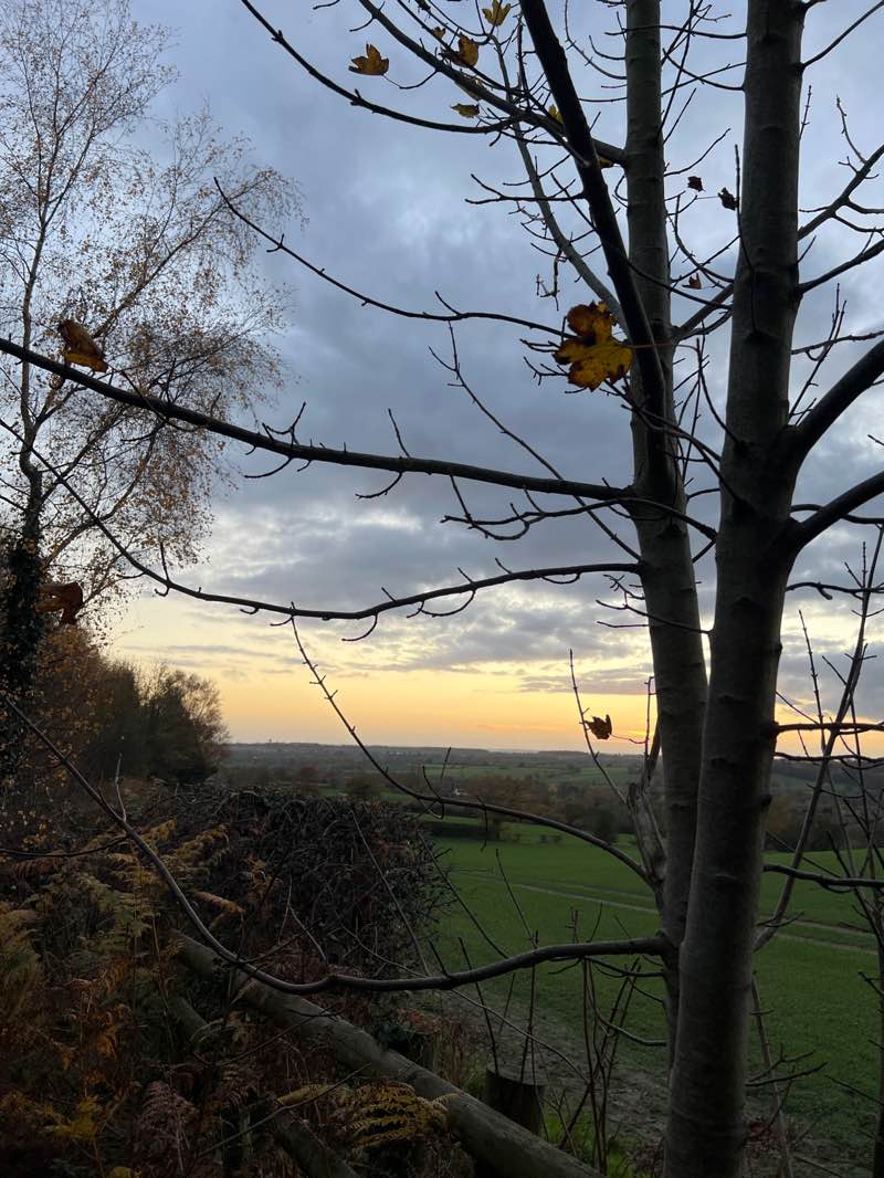 walking near me in Allestree Park in autumn