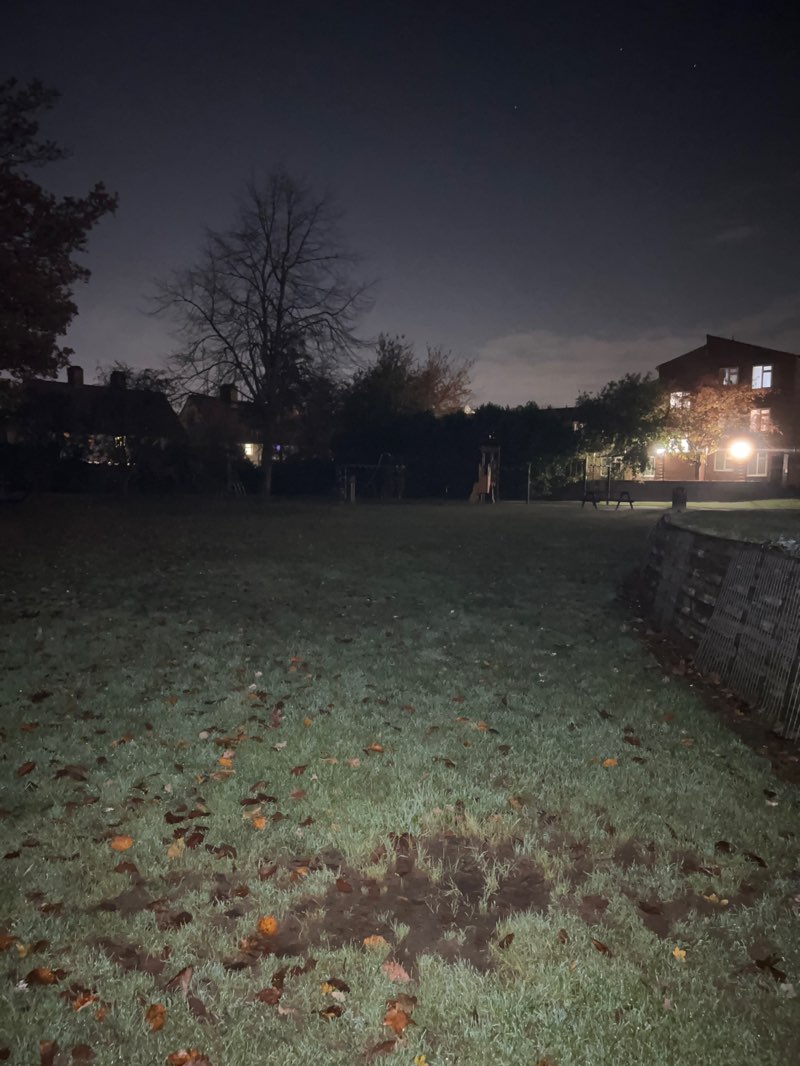 walking near me in Tricket's Park in autumn