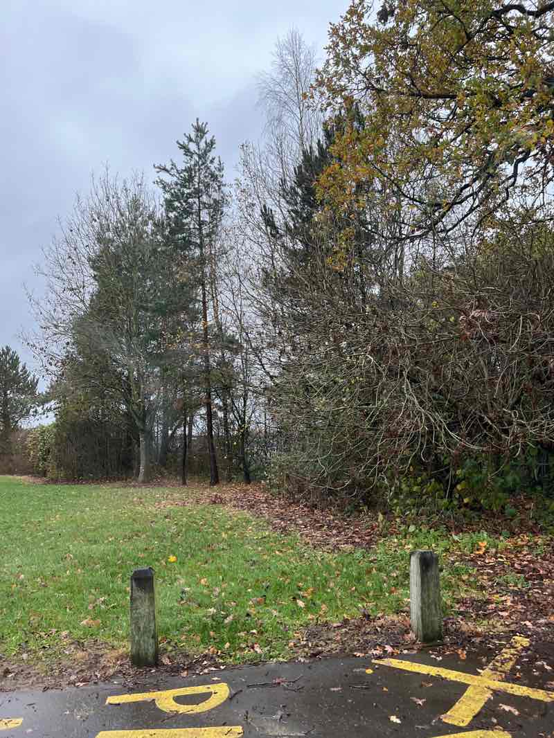 walking near me in Chaddesden Wood in autumn