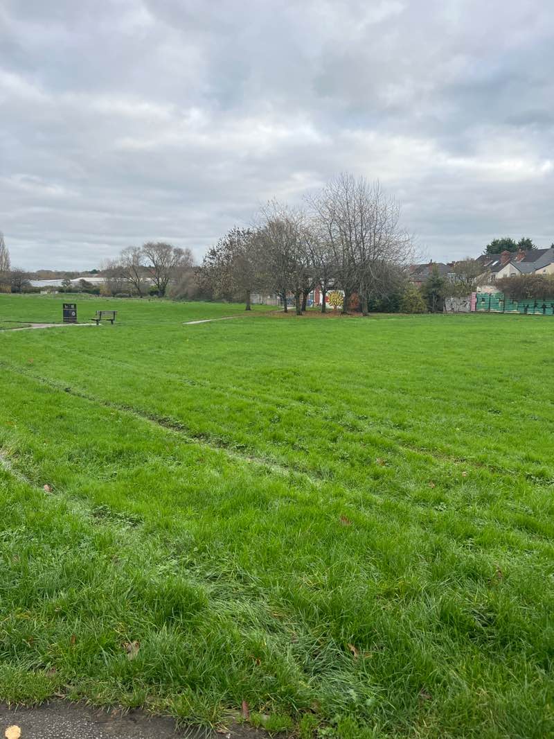 walking near me in Wash Meadows in autumn