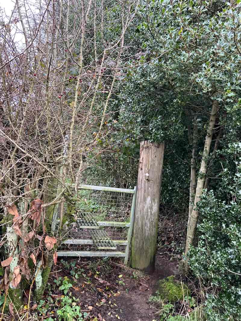 walking near me in Morley Brickyards Nature Reserve in winter