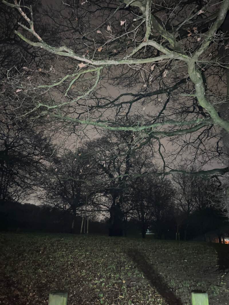 walking near me in Bramcote Hills Park in winter