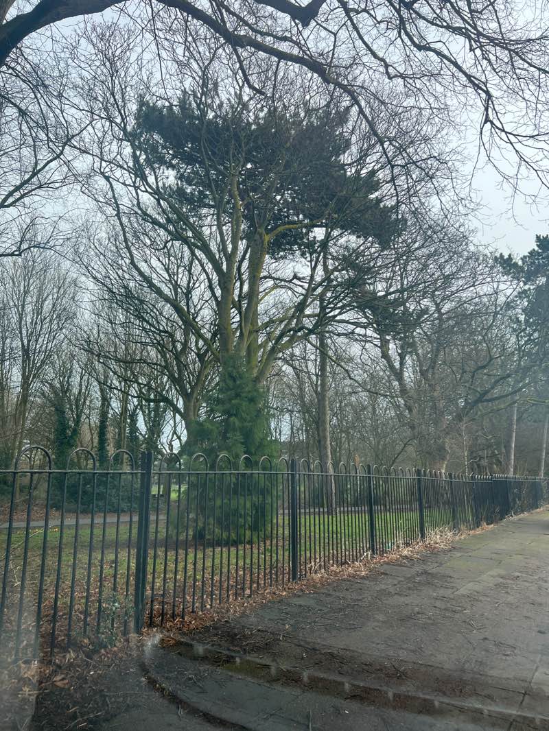 walking near me in Fosse Recreation Ground in winter