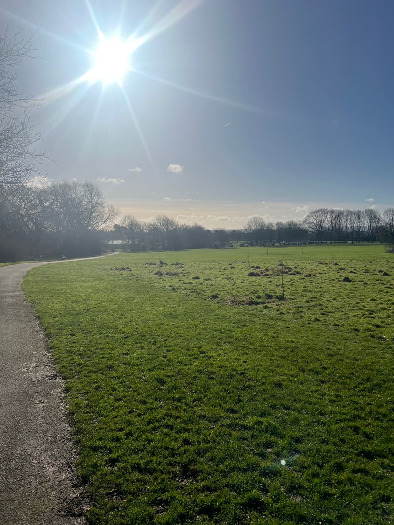 walking near me in Clemson's Park in winter
