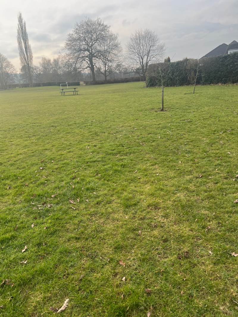 walking near me in Grays Recreation Ground in winter