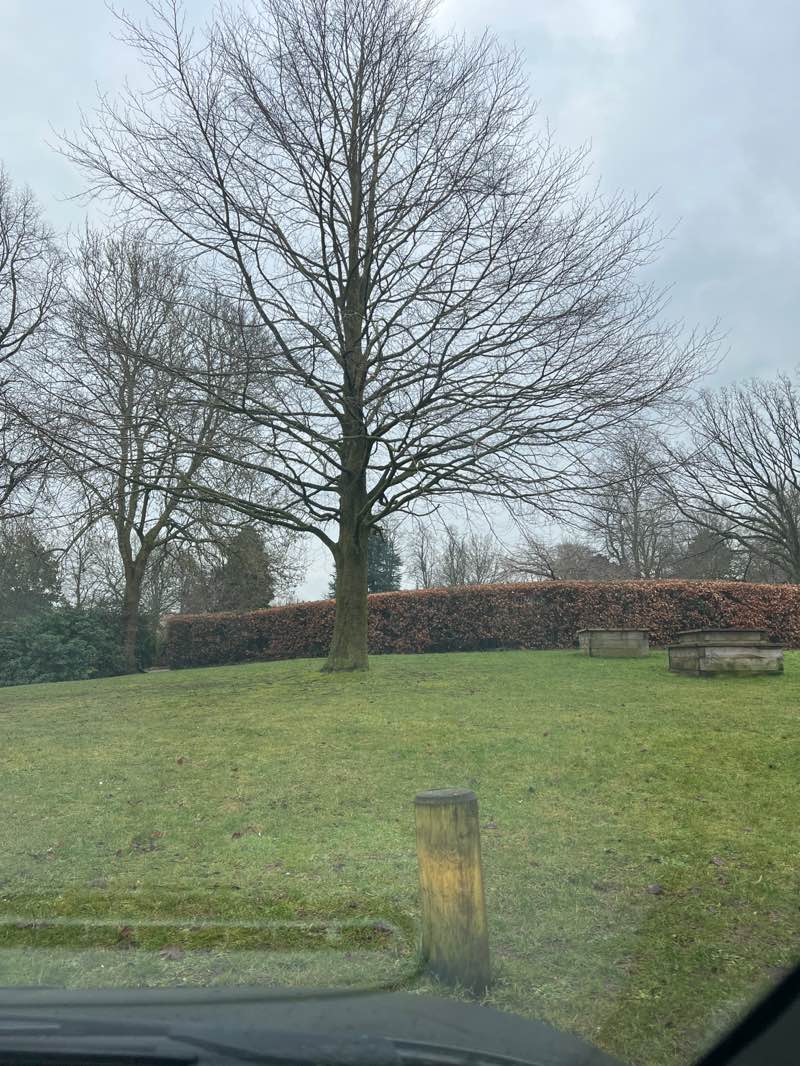 walking near me in Victoria Park in winter