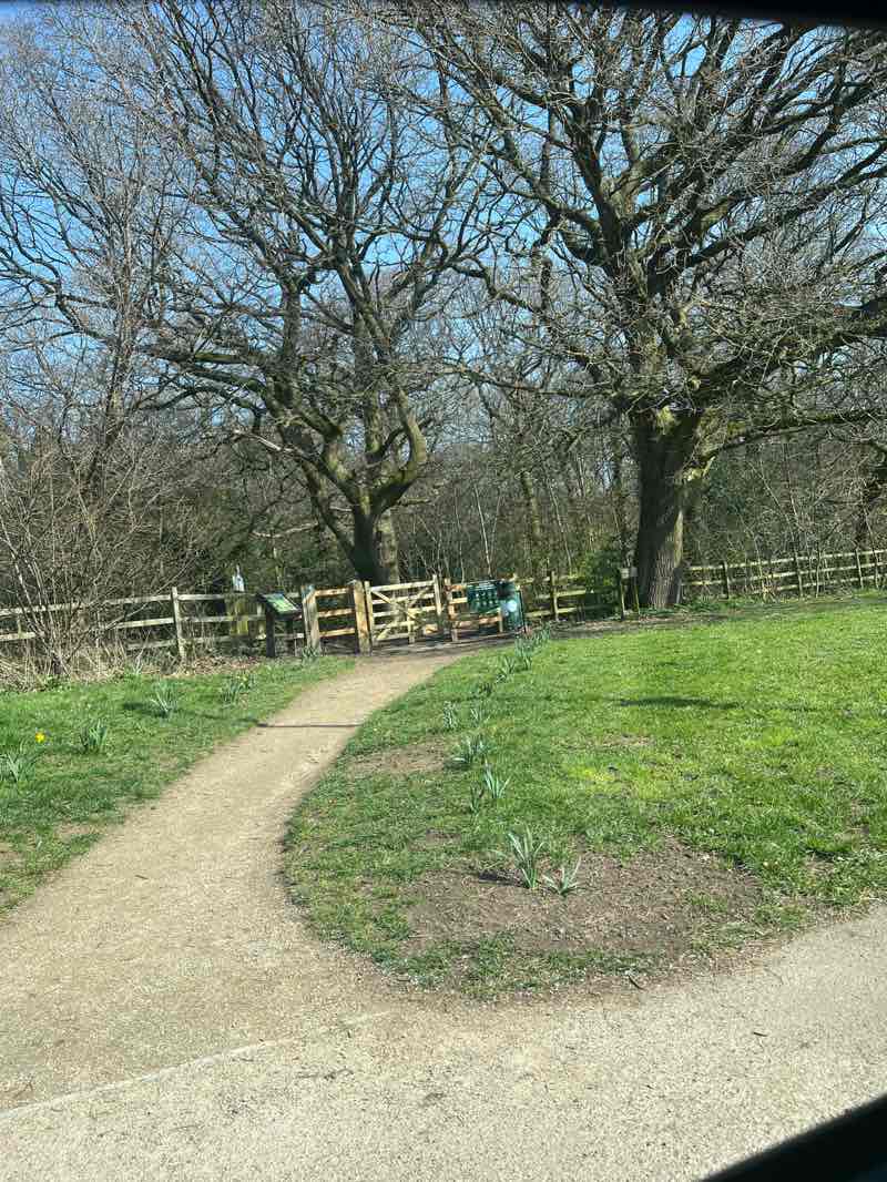 walking near me in Chaddesden Wood in spring