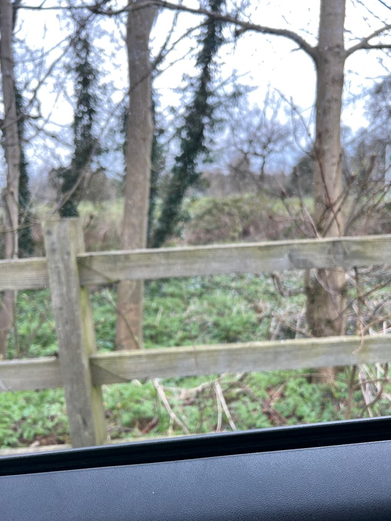 walking near me in Riddings Park in spring