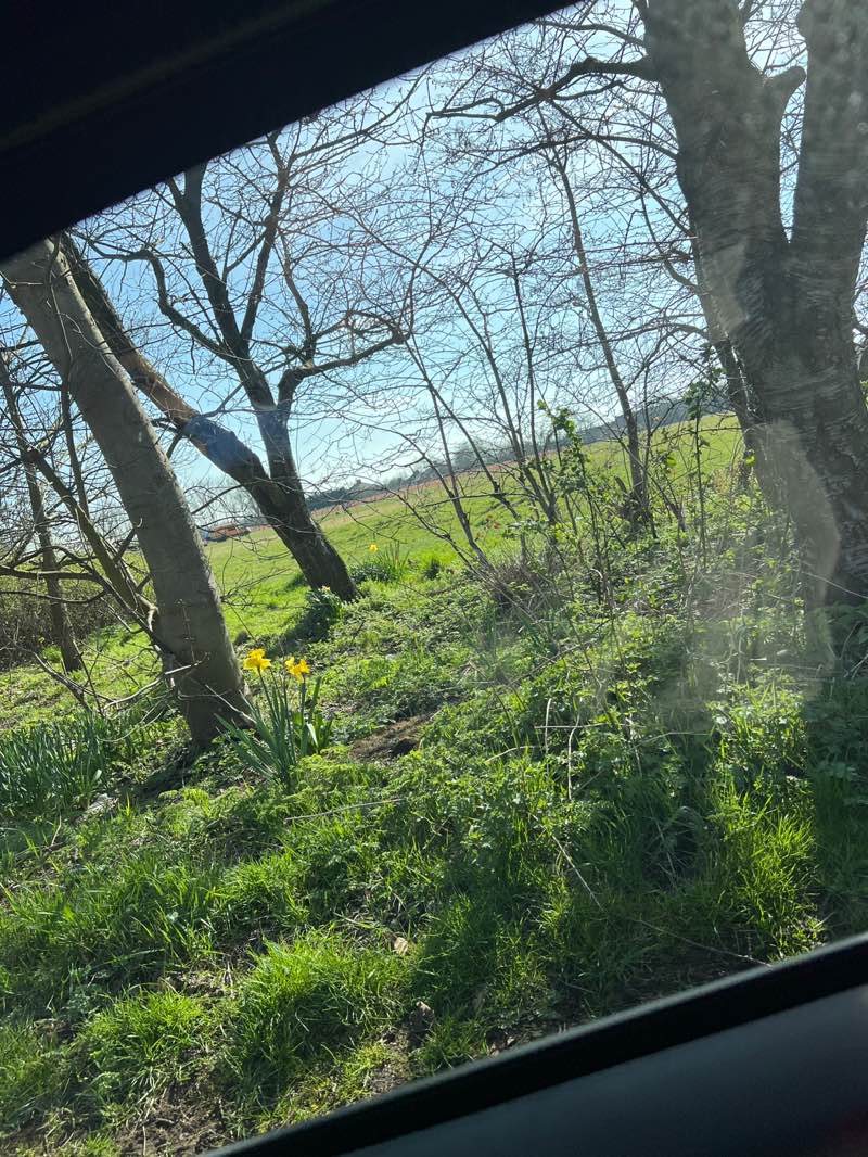 walking near me in Pit Top in spring