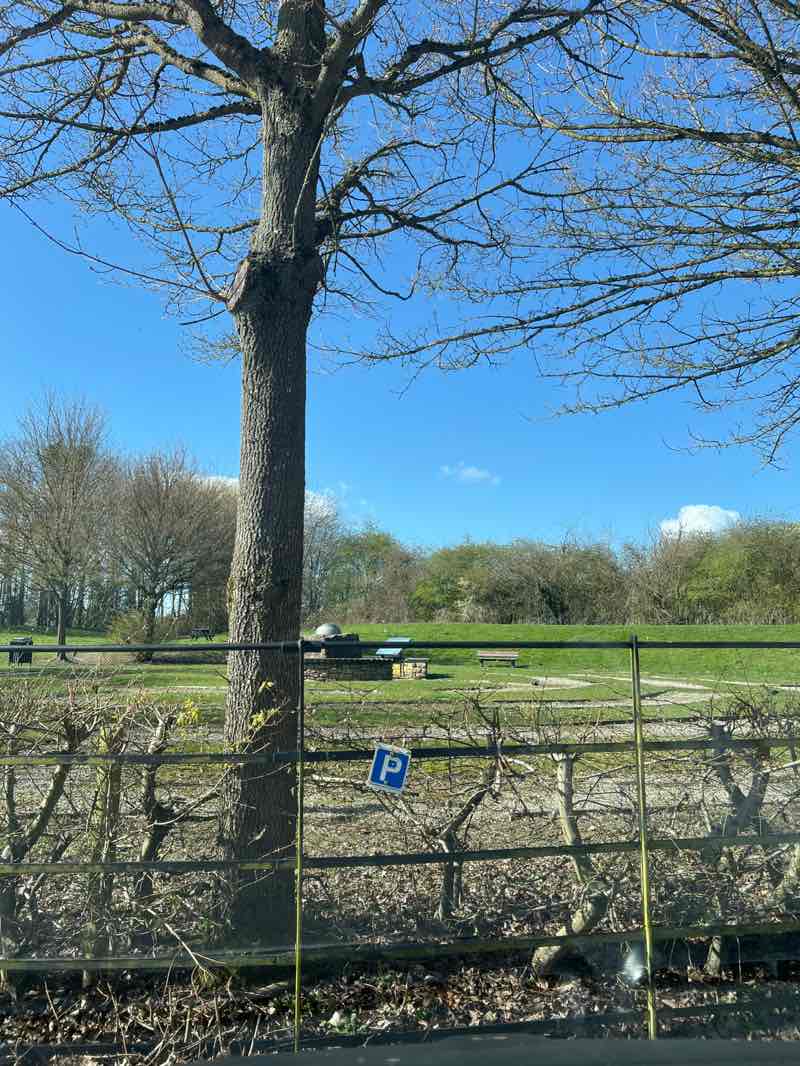 walking near me in John Flamsteed Memorial Park in spring