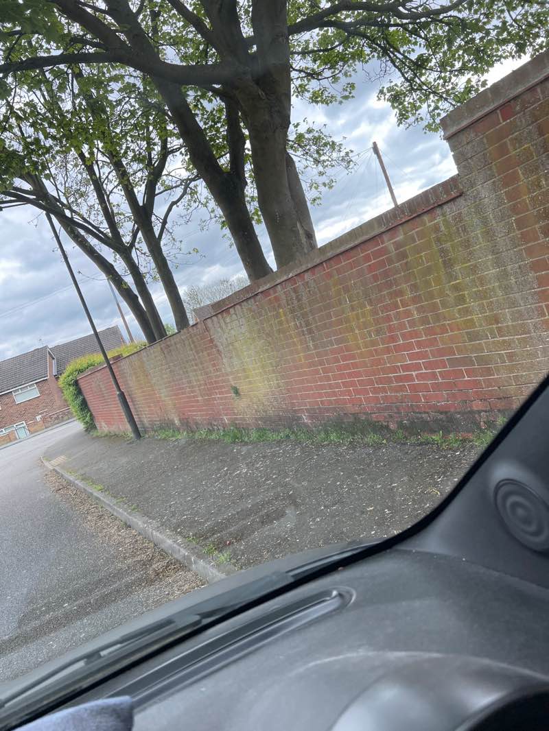 walking near me in Granby Park in spring