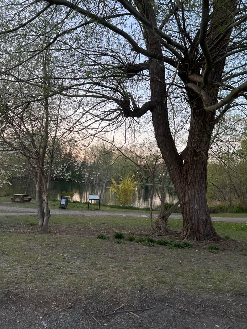 walking near me in Kirk Hallam Lake and Meadows in spring