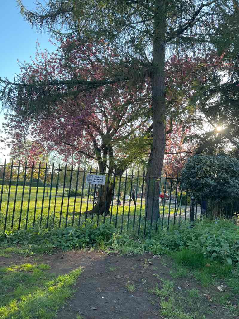 walking near me in Lenton Recreation Ground in spring