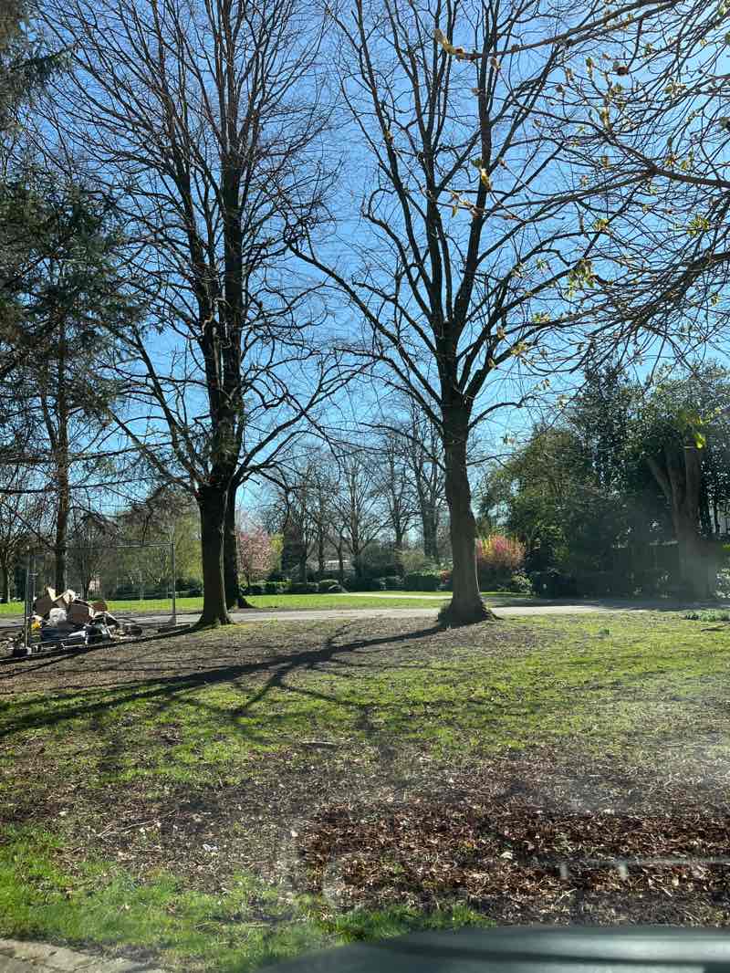 walking near me in Heanor Memorial Park in spring