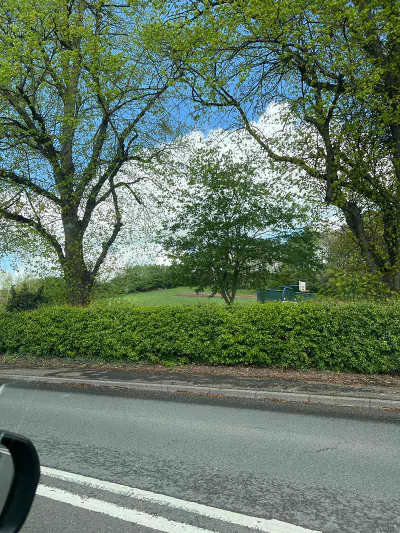 walking near me in Hall Om Wong Open Space in spring