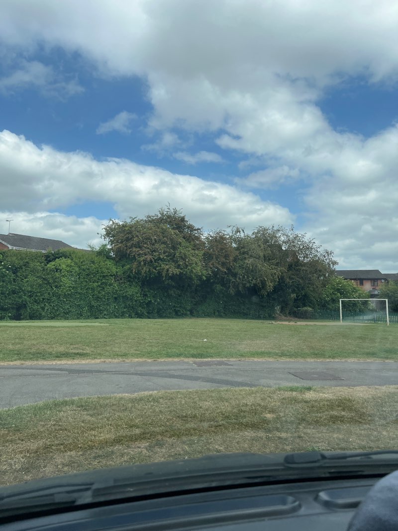 walking near me in Redbridge Drive Open Space in spring