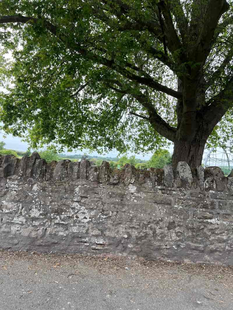 walking near me in Cricks Park in spring