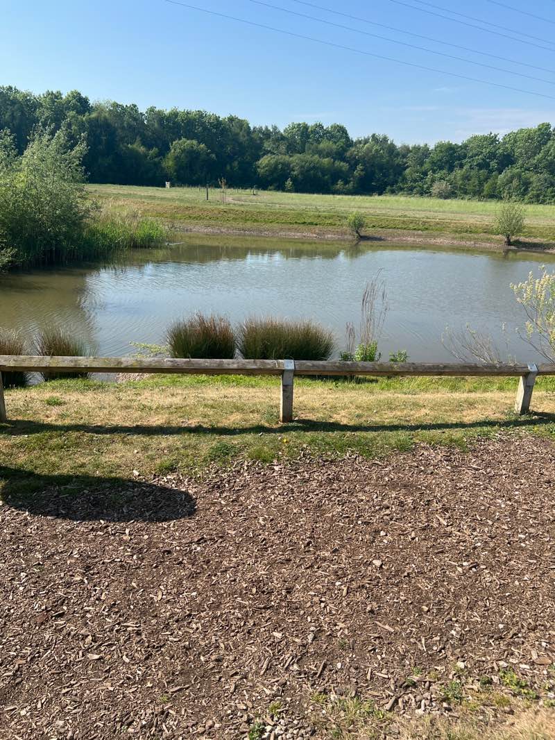 walking near me in Hilton Valley Open Space in spring
