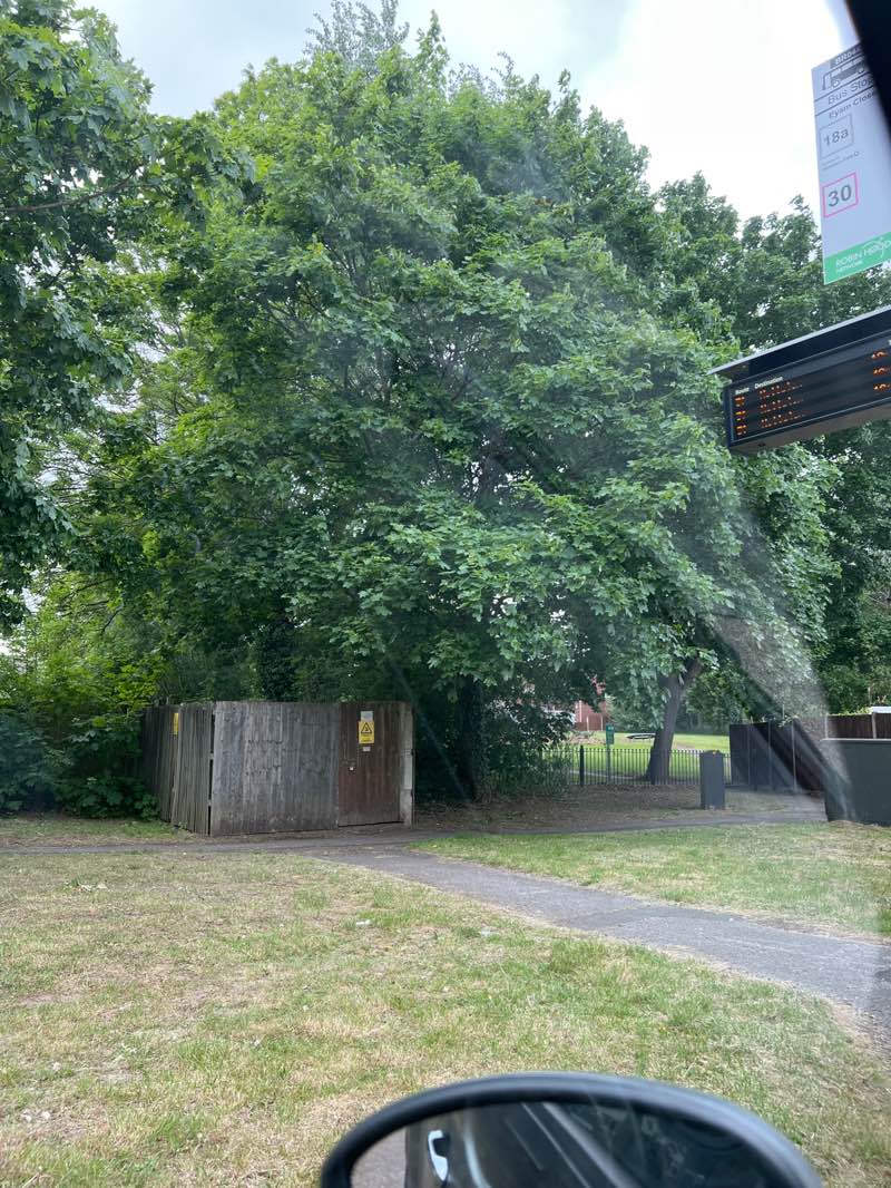 walking near me in Eastcote Avenue Open Space in spring