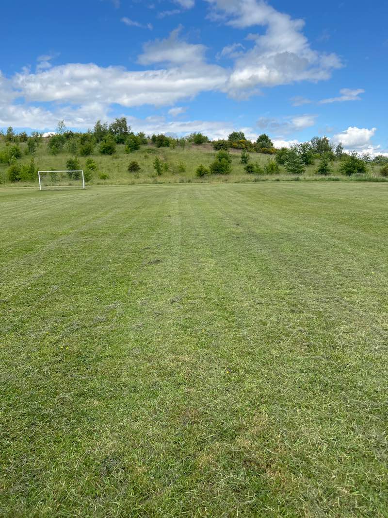 walking near me in Morton Recreation Ground in spring