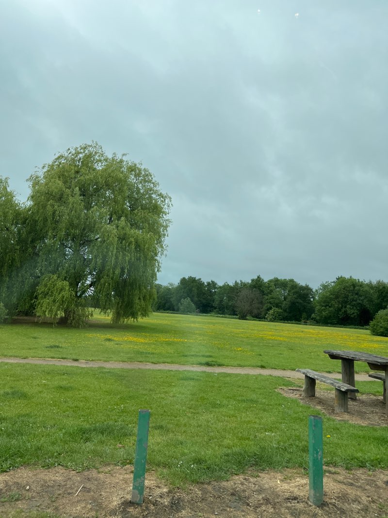 walking near me in Kenning Park in spring