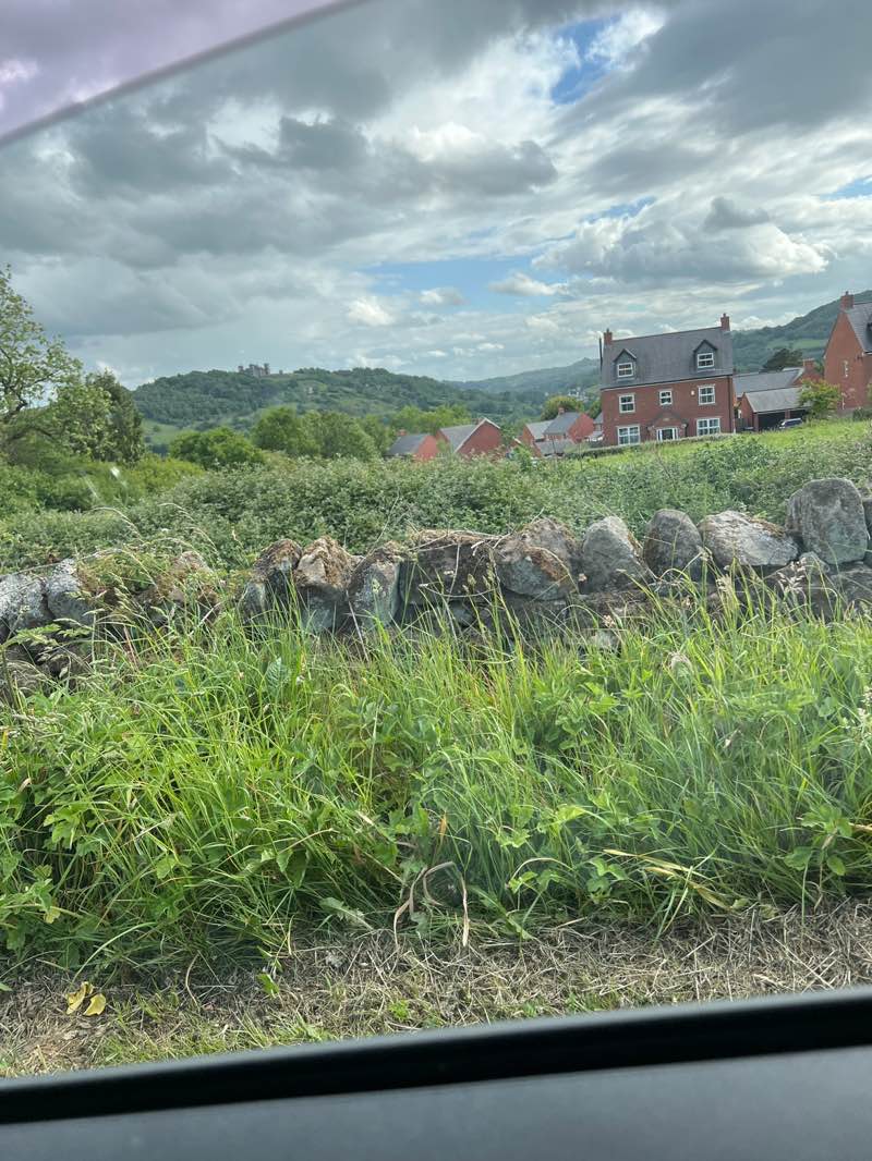 walking near me in Asker Lane Fields in spring