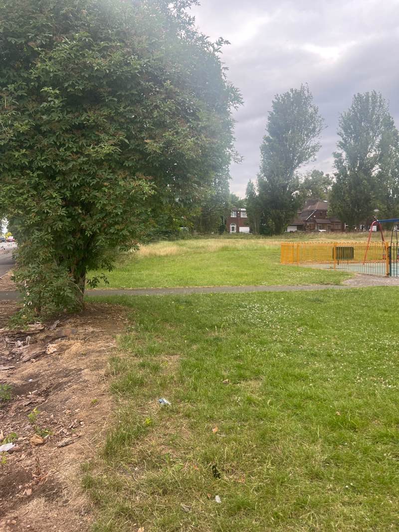 walking near me in Highgate Drive Open Space in summer