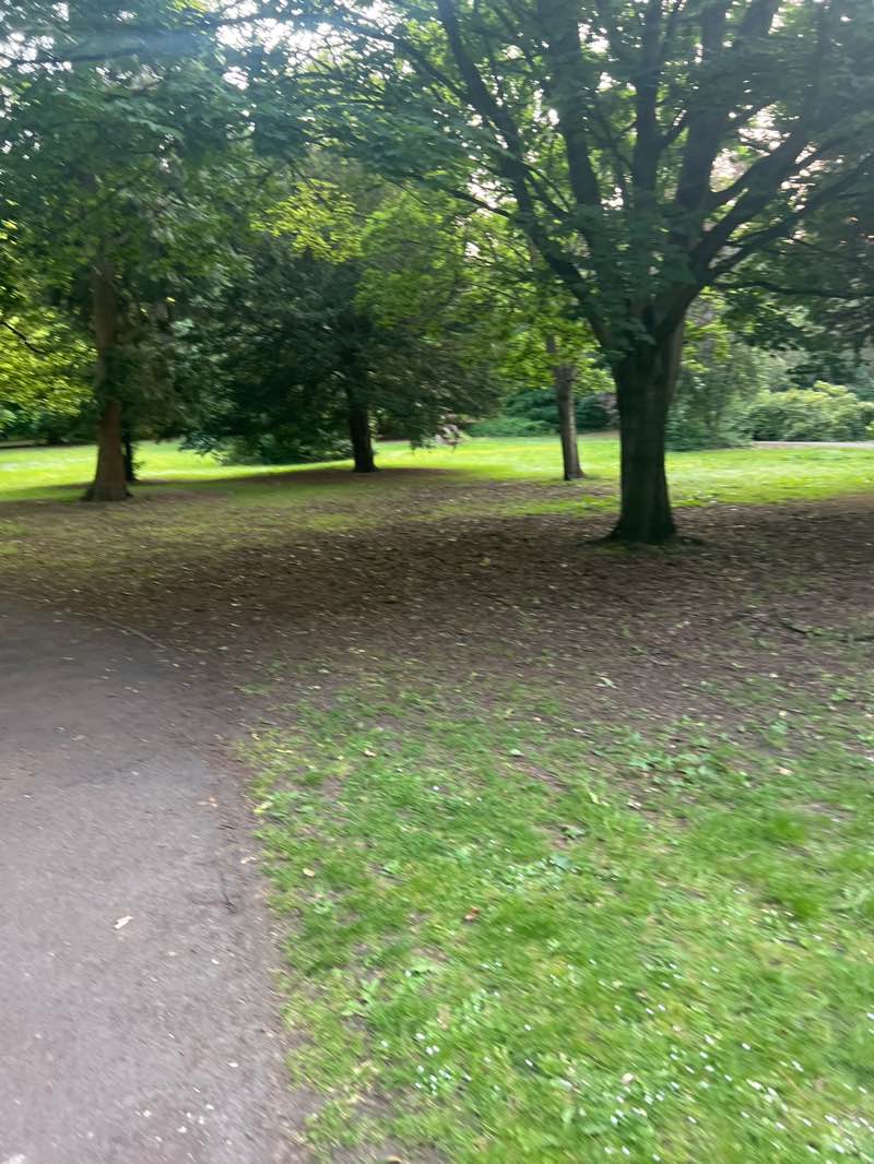 walking near me in Outwoods Park in summer
