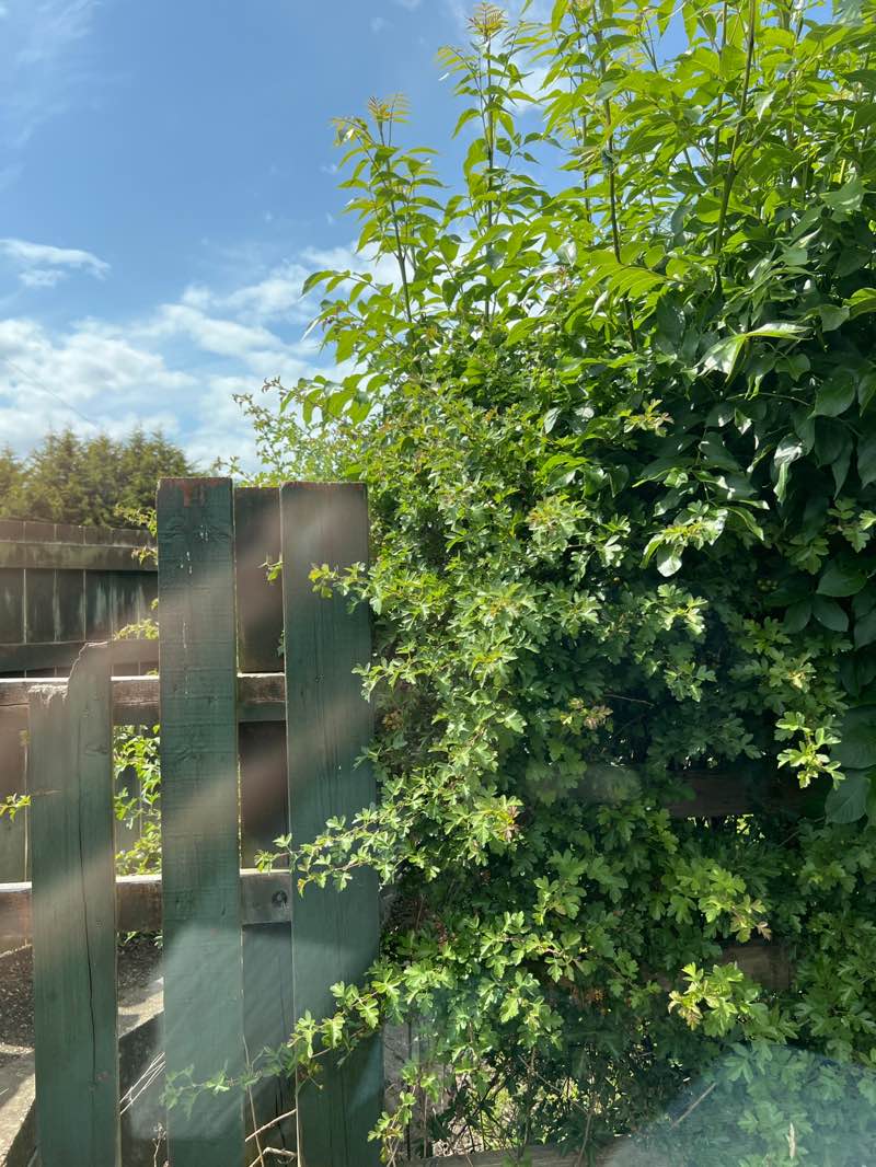 walking near me in Draycott Millennium Green in summer