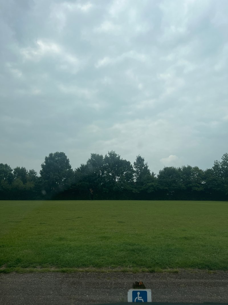 walking near me in Chellaston Park in summer