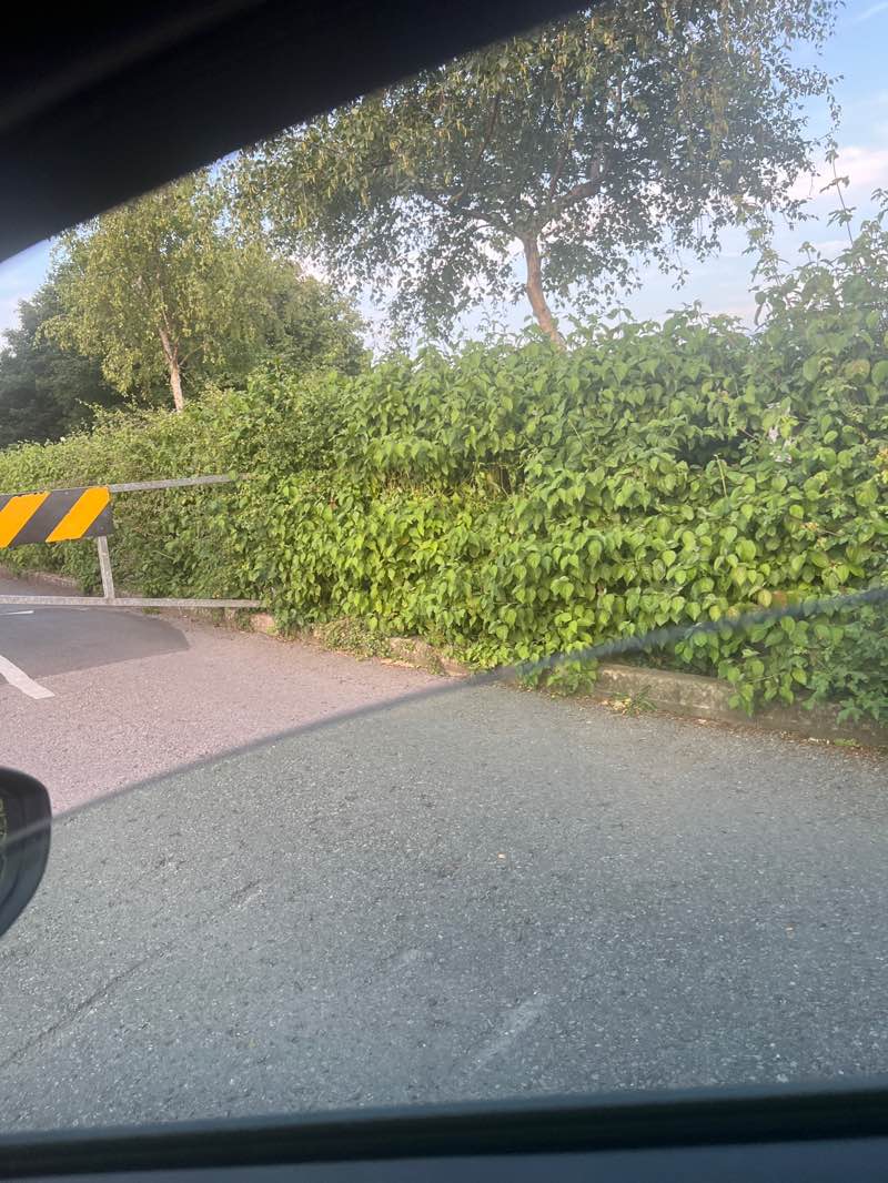 walking near me in Pit Lane Recreation Area in summer