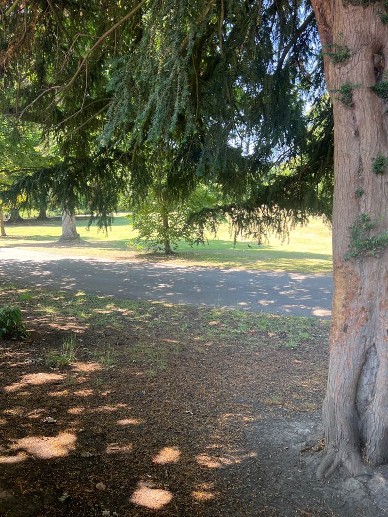 walking near me in Whitworth Park in summer