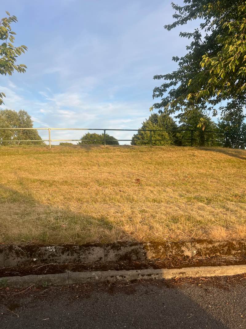 walking near me in Cotton Lane Park in summer