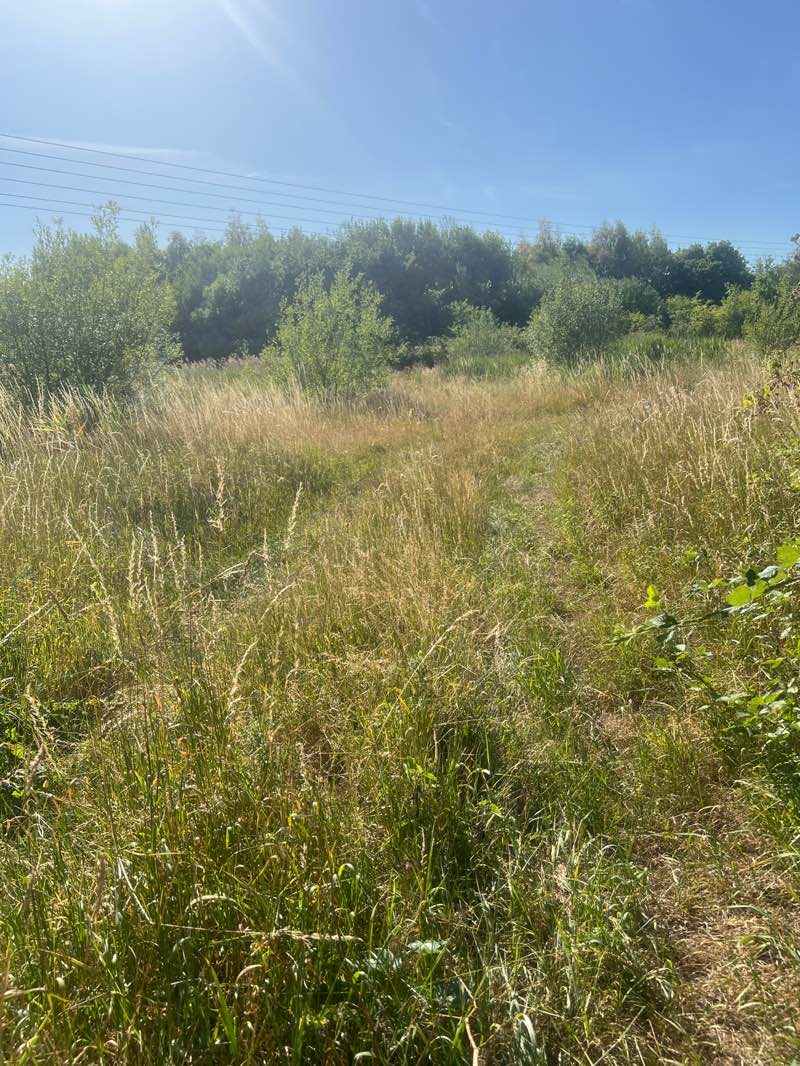 walking near me in Rookery Park in summer