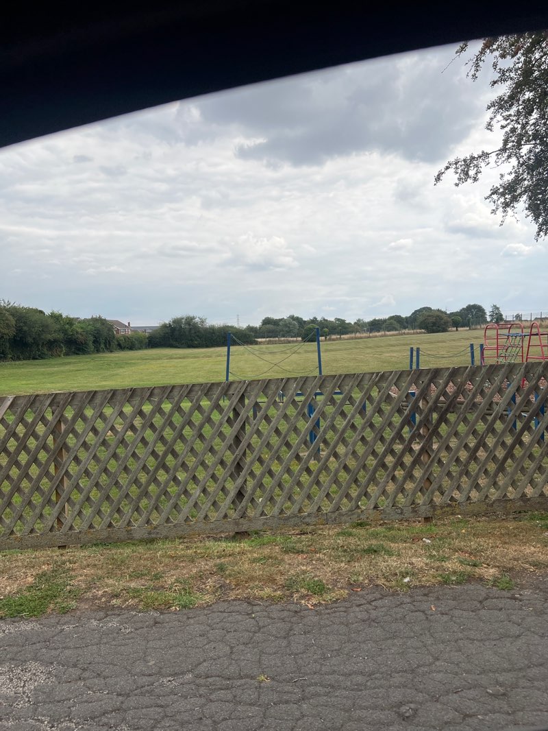 walking near me in Cogley Lane Park in autumn