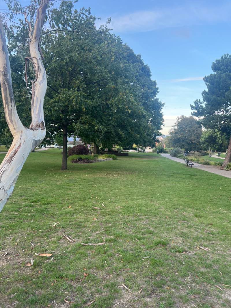 walking near me in Titchfield Park in autumn