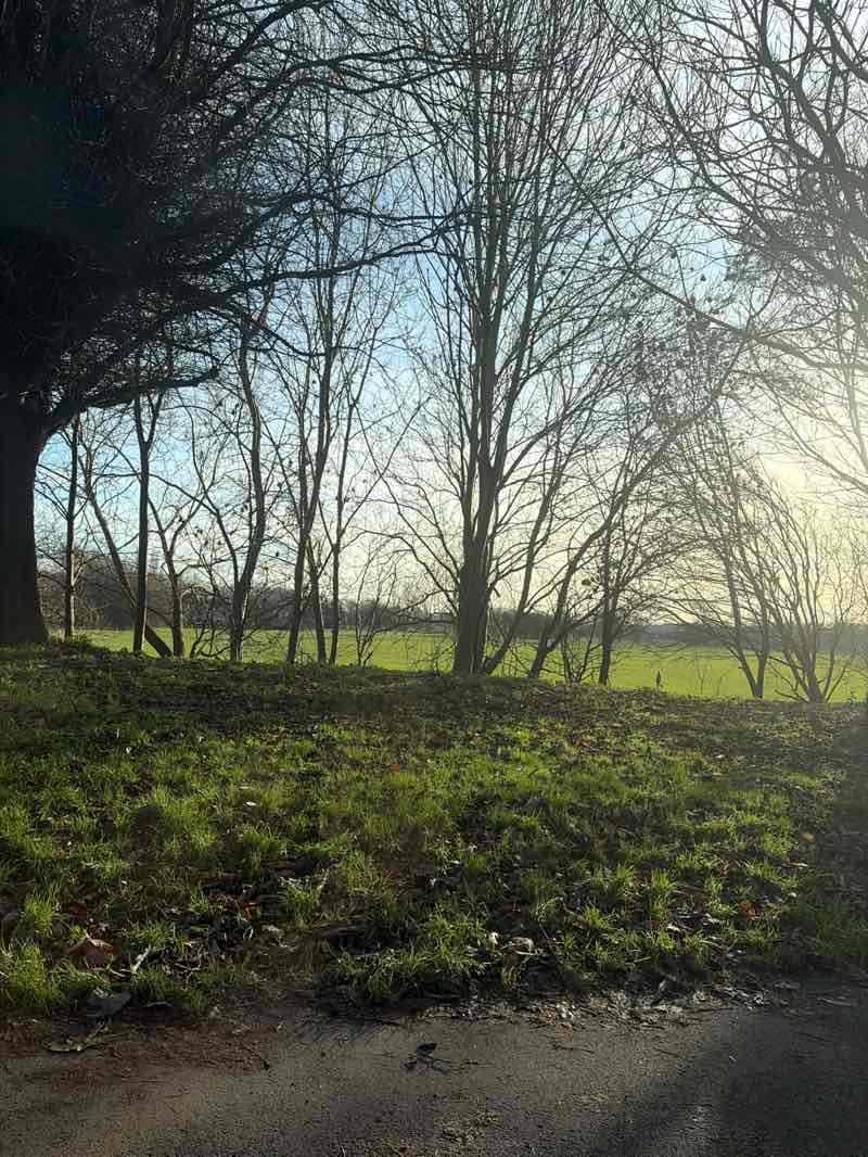 walking near me in Race Course Fields in winter